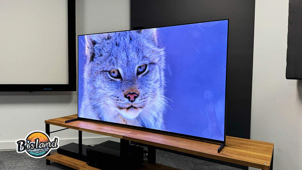2. تلویزیون سونی A95L OLED